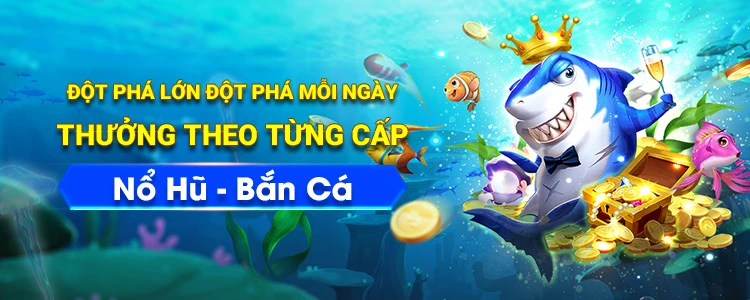 Khám Phá Thế Giới Thể Thao với OK9AA